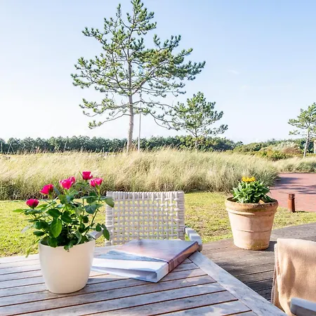 Steger-hues 40 * Sylt